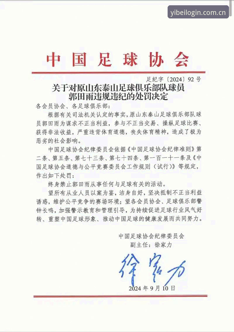 看懂足协第三批禁足名单的实用指南：从案例看中国足球行业整顿的深层逻辑